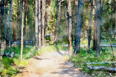 Dijital olarak Yellowstone Ulusal Parkı 'ndaki bir yürüyüş yolunun suluboya resmini yaptı. Yüksek kaliteli illüstrasyon