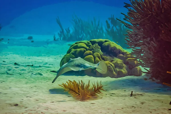 Цифровому Вигляді Створюється Акварельний Живопис Південного Скату Hypanus Americanus Плаває — стокове фото
