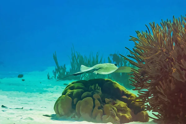 Dijital Olarak Mercan Resifinde Yüzen Güney Vatozu Hypanus Americanus Suluboya — Stok fotoğraf