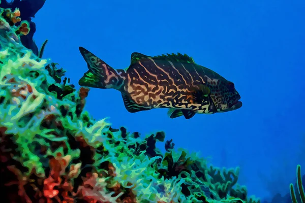 Digitally Created Watercolor Painting Tiger Grouper Mycteroperca Tigris Swimming Coral — Stock Photo, Image