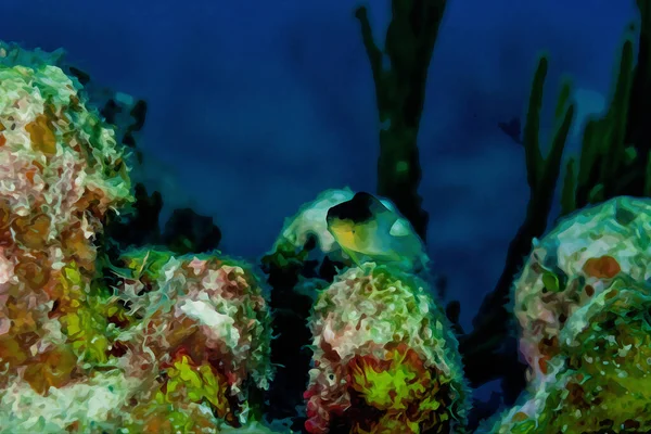 Цифровая Акварельная Живопись Двухцветной Молодой Рыбы Плавающей Над Коралловым Рифом — стоковое фото