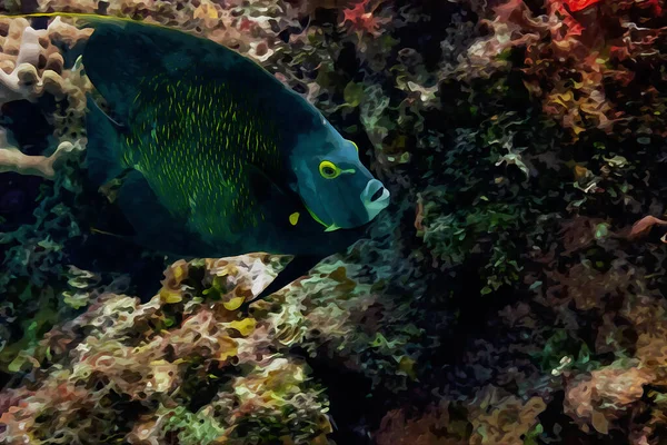 Pintura Acuarela Creada Digitalmente Pez Ángel Francés Nadando Sobre Arrecife —  Fotos de Stock