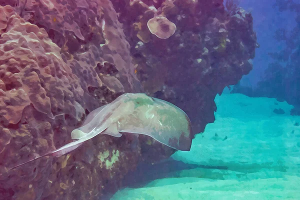 Цифрове Створення Акварельного Живопису Загального Поштовху Пролітає Через Кораловий Риф — стокове фото