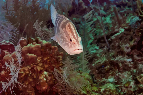 Digitally Created Watercolor Painting Nassau Grouper Epinephelus Striatus Swimming Underwater — Stock Photo, Image