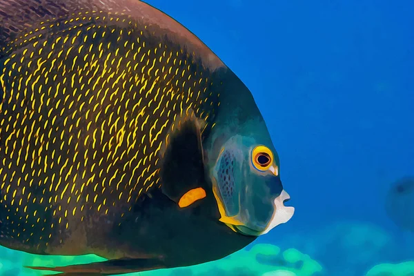 Dijital olarak mavi bir okyanusta yetişkin bir Fransız Angelfish Pomacanthus paru 'nun suluboya resmini yarattı. Yüksek kaliteli illüstrasyon