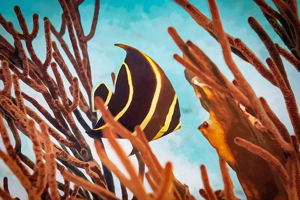 지역에서는 앙겔라 가산호초 헤엄쳐 다니는 모습을 수채화 작품들 발굴되었습니다 질높은 — 스톡 사진
