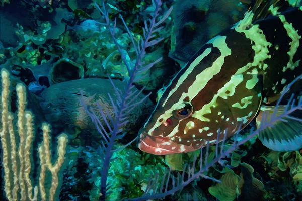 Digitálisan Létrehozott Akvarell Festmény Nassau Grouper Epinephelus Striatus Úszás Víz — Stock Fotó