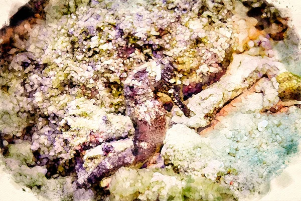 Цифрове Створення Акварельного Живопису Короткого Морського Коня Гіппокампуса Природному Середовищі — стокове фото