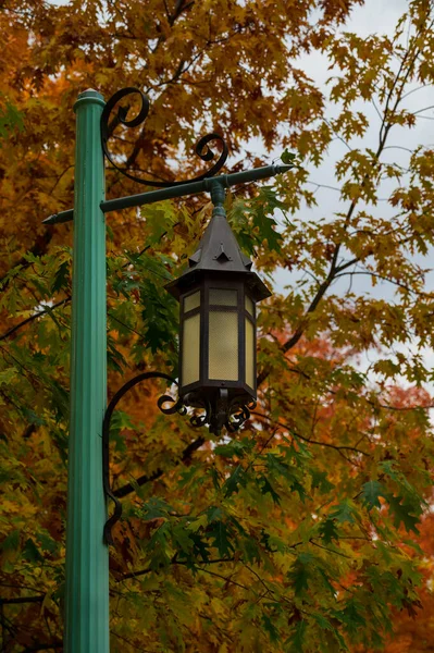 Closeup Historical Gothic Gas Light Style Street Lantern Fall Tree — Stock Photo, Image
