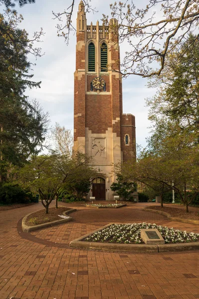 Башня Бомонт Кампусе Университета Штата Мичиган Восточном Лансинге Высокое Качество — стоковое фото
