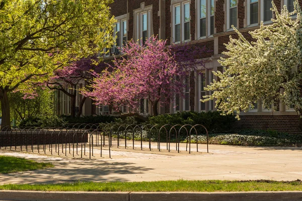 East Lansing Mai 2022 Leerer Fahrradständer Auf Dem Campus Der — Stockfoto