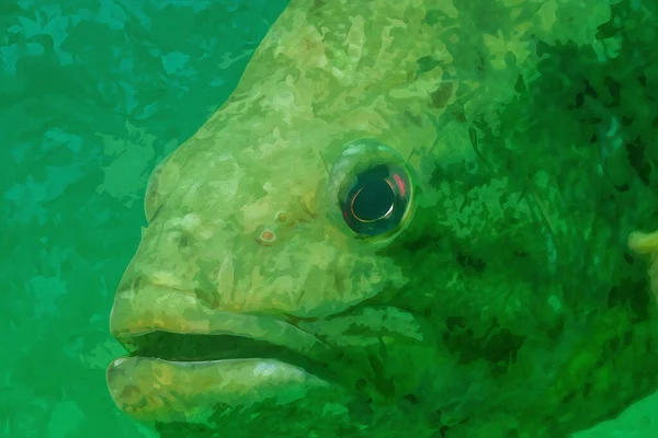 Digitally Created Watercolor Painting Wild Largemouth Bass Swimming Micropterus Salmoides — Fotografia de Stock