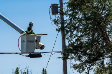 Potterville, MI - 9 Eylül 2023: Ağaççı elektrik hatlarına yakın ağaçları buduyor. Yüksek kalite fotoğraf