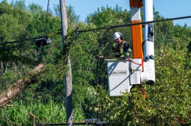 Potterville, MI - 9 Eylül 2023: Bir ağaççı elektrik hatlarının yakınındaki ağaçları budarken başarıyı kutlar. Yüksek kalite fotoğraf