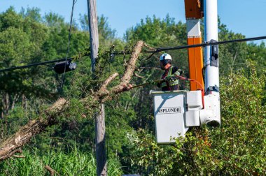 Potterville, MI - 9 Eylül 2023: Ağaççı, devrilen dalı olan elektrik hatlarına yakın ağaçları buduyor. Yüksek kalite fotoğraf