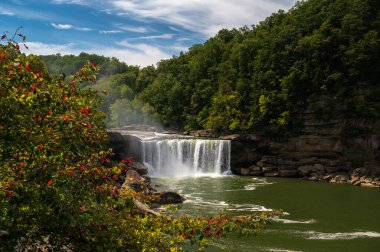 Corbin, Kentucky, ABD 'de kır çiçekleriyle Cumberland Şelalesi. Yüksek kalite fotoğraf