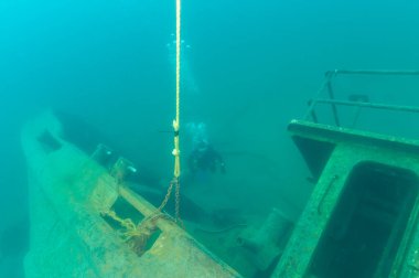 Munising, MI -11 Ağustos 2023: SCUBA dalgıcı enkaz manzarasını yukarıdan inceliyor. Yüksek kalite fotoğraf