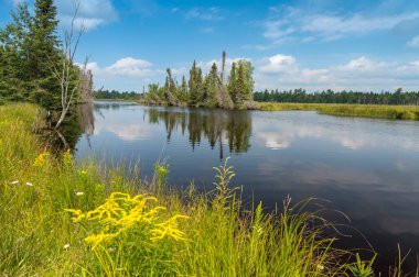 Serene Reflection: Tahquamenon Nehri Yeşilliğin Ortasında Yuvalanmış. Yüksek kalite fotoğraf