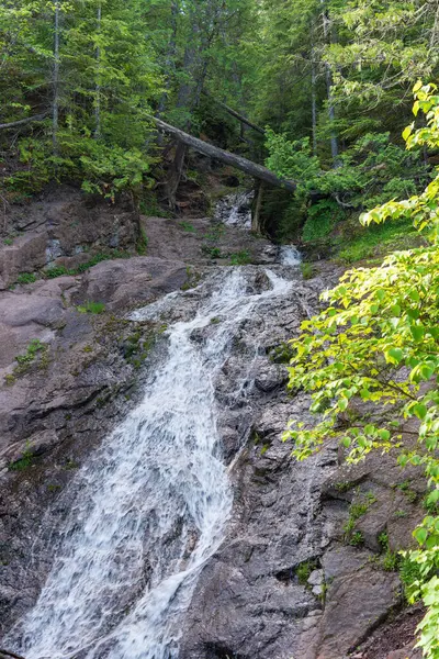 Scena Della Cascata Rocciosa Nel Michigan Wilderness Foto Alta Qualità Foto Stock