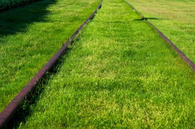 Çimenlerle kaplı kopyalama-uzayı olan tren rayları. Yüksek kalite fotoğraf