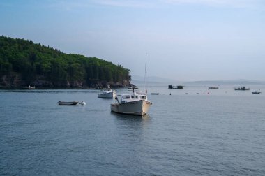 Bar Harbor, Maine, ABD - 23 Haziran 2024: Fotokopi uzayı ile limanda demirli balıkçı tekneleri. Yüksek kalite fotoğraf
