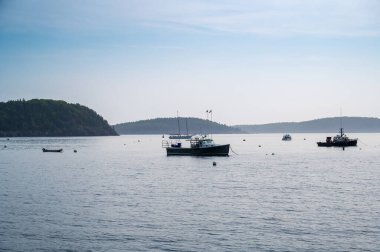 Bar Harbor, Maine, ABD - 23 Haziran 2024: Copt-Space ile Acadia Ulusal Parkı 'nda Sakin Su Tekneleri. Yüksek kalite fotoğraf