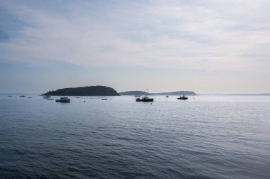 Bar Harbor, Maine, ABD - 23 Haziran 2024 Acadia Ulusal Parkı 'ndaki Serene Seascape. Yüksek kalite fotoğraf