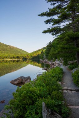 Ürdün Pond 'un yanında Serene Pathway, Acadia Ulusal Parkı. Yüksek kalite fotoğraf