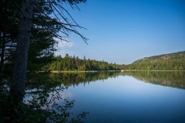 Peaceful Lake Scene, Acadia Ulusal Parkı 'nda fotokopi-uzay ile. Yüksek kalite fotoğraf