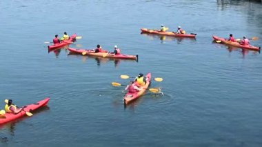 Bar Harbor MA - 18 Haziran 2024: Bar Harbor 'da turist kayağı. Yüksek kaliteli FullHD görüntüler