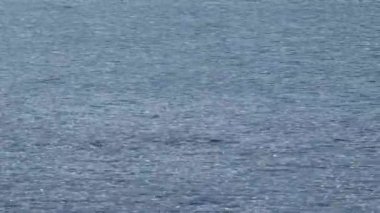 Bar Island Land Köprüsü 'ndeki su köprüyü ortaya çıkarmak için ilerliyor. Yüksek kaliteli FullHD görüntüler