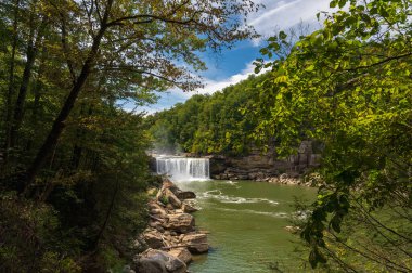 Cumberland Şelalesi Ağaçların arasından görünüyor. Yüksek kalite fotoğraf