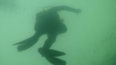ScUBA dalgıcı tekne tehlikesi ararken yüzeye çıkıyor. Yüksek kalite 4k görüntü
