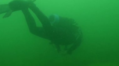 SCUBA dalgıcı, bulutlu yeşil tatlı suyu keşfediyor. Yüksek kalite 4k görüntü