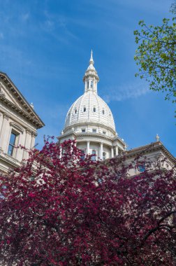 Michigan Capitol Dome with Blooming Spring Trees with Copy-Space. High quality photo clipart