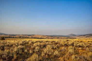 Yellowstone 'daki Smoky Horizon Over Golden Prairie' de fotokopi-Space ile. Yüksek kalite fotoğraf