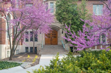 Doğu Lansing MI - 6 Mayıs 2023: Spring Trees ile çevrili Gilchrist yatakhanesine giriş. Yüksek kalite fotoğraf