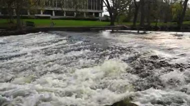 Michigan Eyalet Üniversitesi 'ndeki Red Cedar Nehri' nde akan akıntılar. Yüksek kalite 4k görüntü