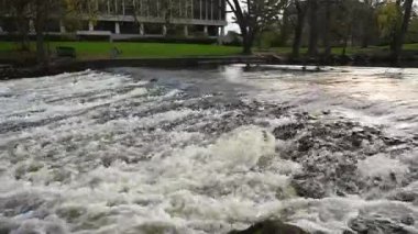 Michigan Eyalet Üniversitesi 'ndeki Red Cedar Nehri' nde akıntı. Yüksek kalite 4k görüntü