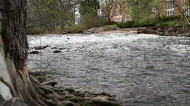 Michigan Eyalet Üniversitesi 'ndeki Red Cedar Nehri' nde akan akıntılar. Yüksek kalite 4k görüntü