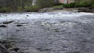 Michigan Eyalet Üniversitesi 'nin Kızıl Cedar Nehri' nde akan sular. Yüksek kalite 4k görüntü