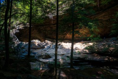 Logan, OH - 9 Eylül 2024: Woodland Trees 'den Sahne Uçurumu. Yükseğe. Yüksek kalite fotoğraf