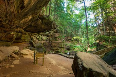 Logan, OH - 9 Eylül 2024 Hocking Hills Ormanı 'ndaki Rock Ledge' in Altında İz İşareti. Yüksek kalite fotoğraf