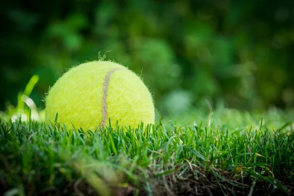 芝生の上のテニスボール — ストック写真