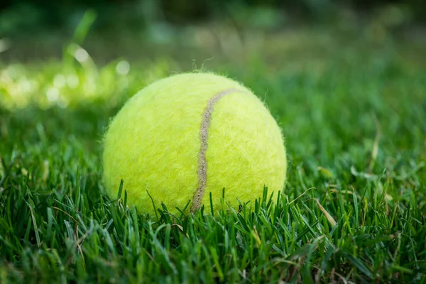 Tennis Ball Mowed Grass — Zdjęcie stockowe