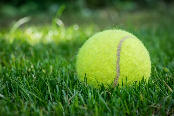 Tennis Ball Mowed Grass — Stock fotografie