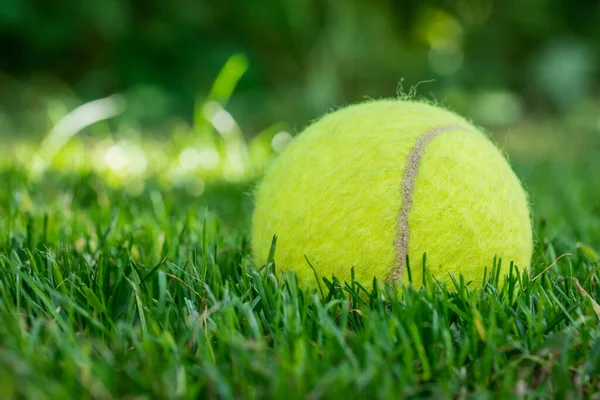 Tennis Ball Mowed Grass — Stockfoto