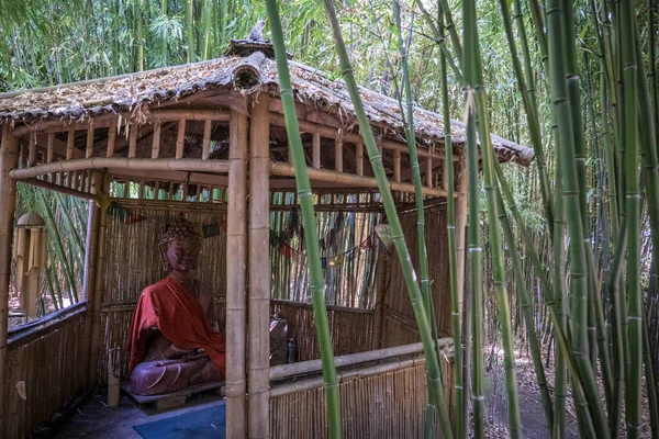 Bambudan Yapılmış Çay Çardağı Bambu Ormanında — Stok fotoğraf