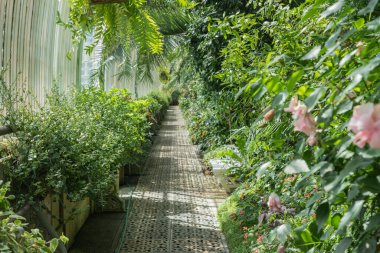 Mimari, parktaki eski binalar.