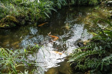 Mimari, parktaki eski binalar.